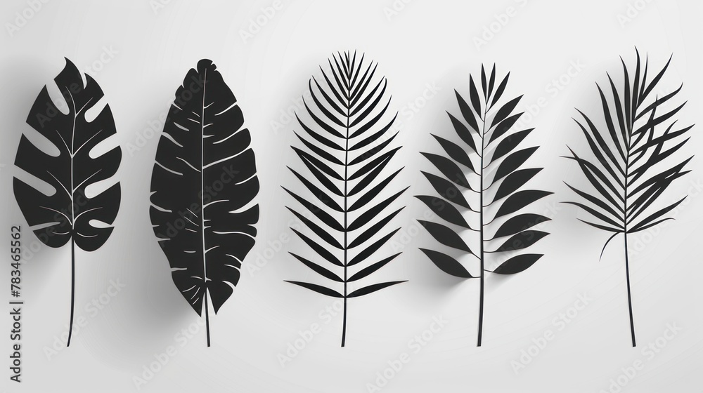 Fototapeta premium A collection of palm leaf silhouettes that have been isolated on a white background