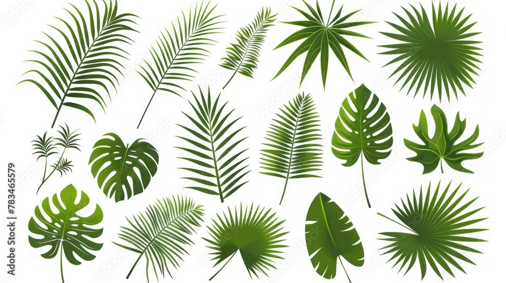 A collection of palm leaf silhouettes that have been isolated on a white background