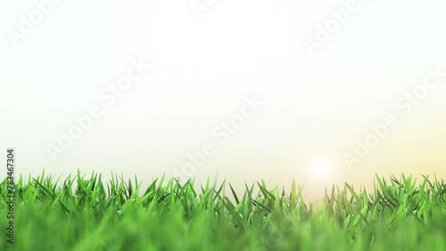 Fundo de capim verde com sol e céu  photo