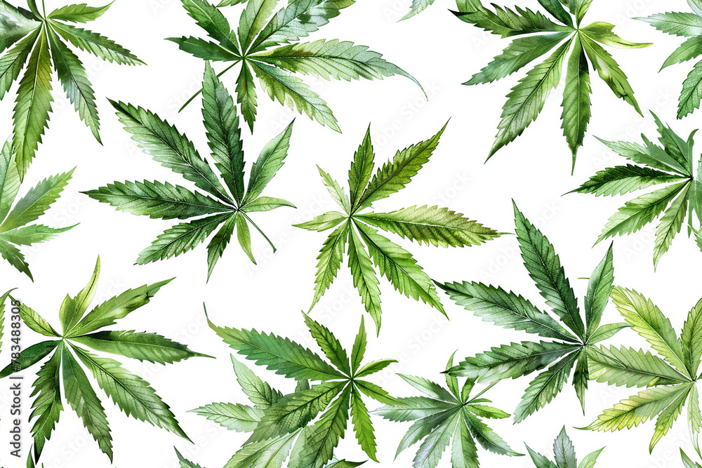 seamless pattern with green marijuana leaf on white background for decoration of fabric