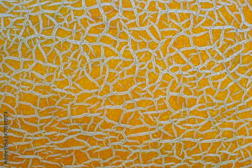 Yellow abstract background, surface texture covered network of cracks