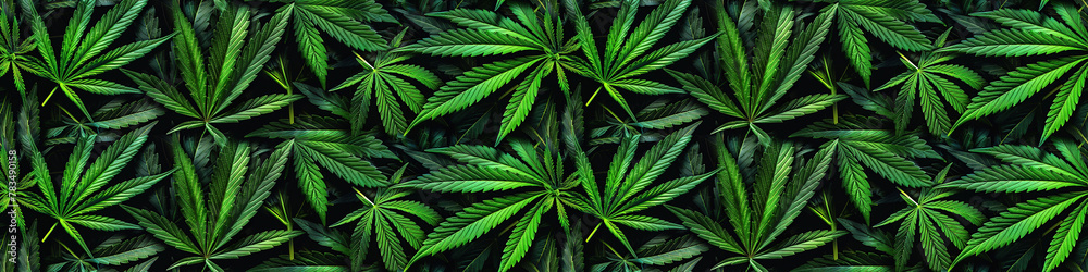 seamless pattern with green cannabis marijuana leaf on black background for decoration - obrazy, fototapety, plakaty 