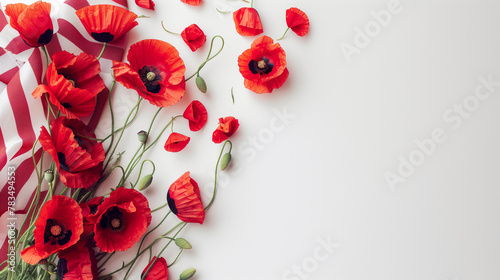 United States of America USA flag border with red poppy on white background with copy space. Memorial day concept backgrounds