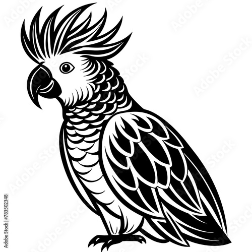 cockatoo silhouette vector art illustration