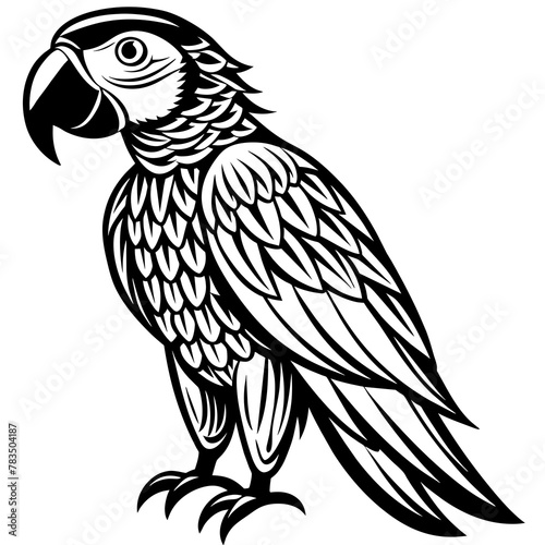 macaw silhouette vector art illustration