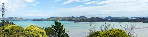 McGregor Bay and Coromandel Harbour from the Kauri Block Walk lookout, nestled in the native bush of the Coromandel Ranges. New Zealand