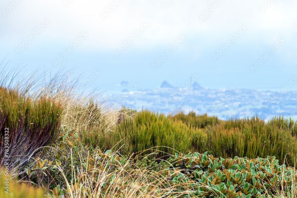 Φωτογραφία Volcanic landscape with lots of golden tussocks in the foreground and mountains