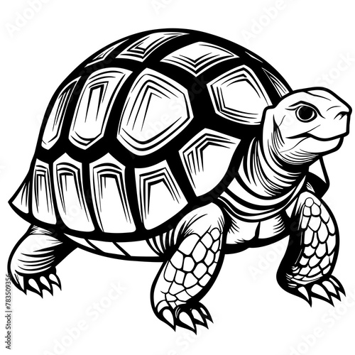 turtle silhouette vector art illustration