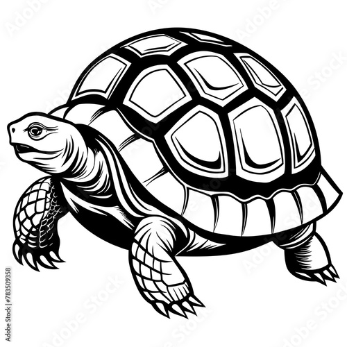turtle silhouette vector art illustration