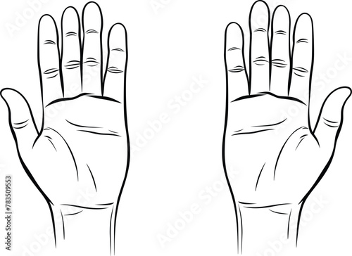 Vector Line Drawing Illustration of Two Hands with Open Palms.