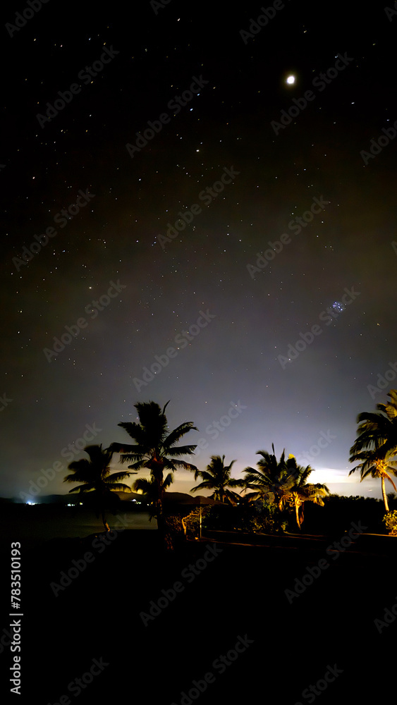 palm tree on the beach under stary night portrait view