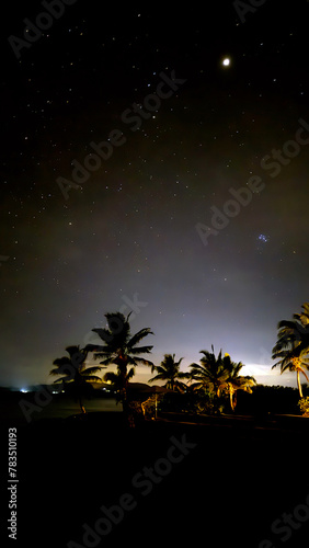 palm tree on the beach under stary night portrait view