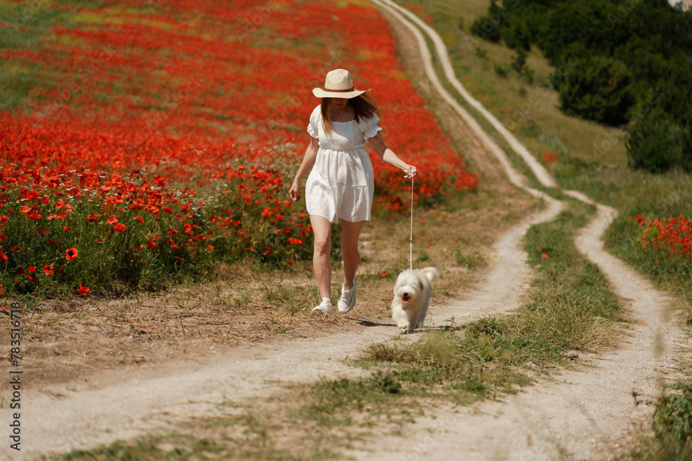 woman with dog. Happy woman walking with white dog the road along a blooming poppy field on a sunny day, She is wearing a white dress and a hat. On a walk with dog woman with dog. Happy woman walking with white dog the road along a blooming poppy field on a sunny day, She is wearing a white dress and a hat. On a walk with dog