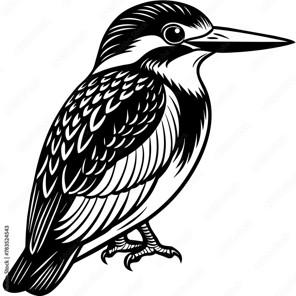 kingfisher silhouette vector art illustration