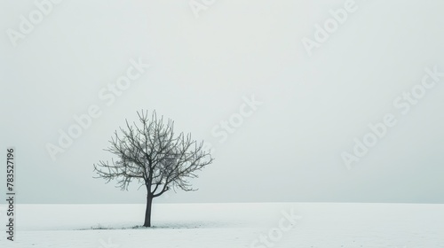 A minimalist representation 