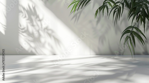 White background accentuated by soft foliage shadows against a wall.