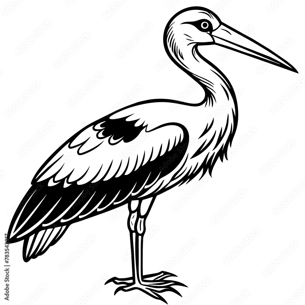 stork--on-a-white-background--no-background-vector stork--on-a-white-background--no-background-vector