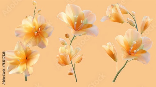 An isolated light orange background with a 3D translucent freesia set.