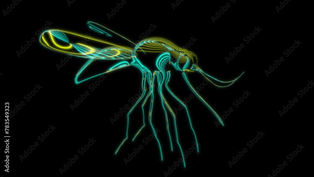 Rendering 3D animation, VISUAL EFFECTS Mosquito Model on a black background Rendering 3D animation, VISUAL EFFECTS Mosquito Model on a black background