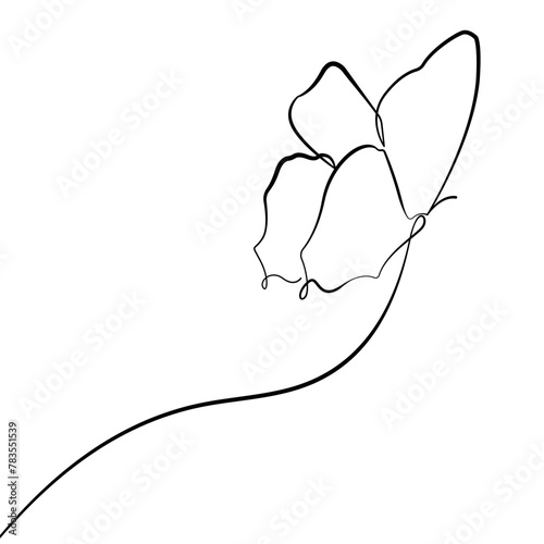 Butterfly Flying Line Art Drawing. Butterfly Line Art Illustration for Minimal Trendy Contemporary Design. Perfect for Wall Art, Prints, Social Media, Posters, Invitations, Branding Design. Vector © Наталья Дьячкова