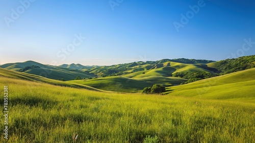 Tranquil Vistas A Majestic Landscape of Rolling Hills and Lush Greenery