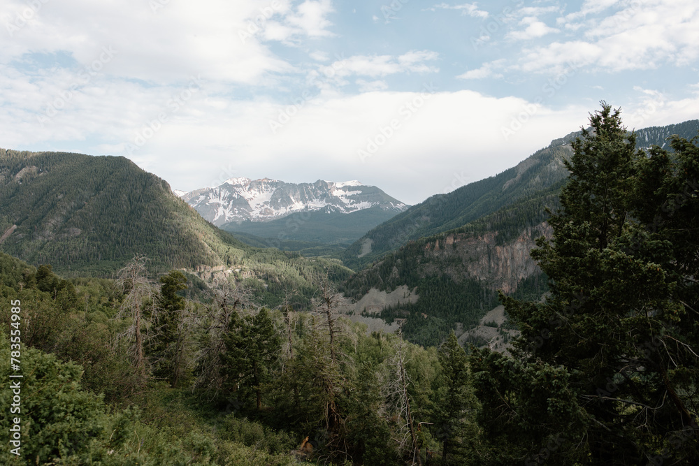 Lush greenery and snowcapped San Juan Mountains