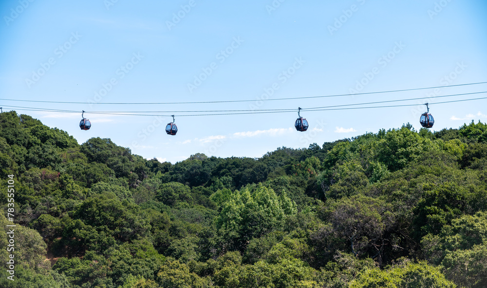 Gondola over trees with blue sky