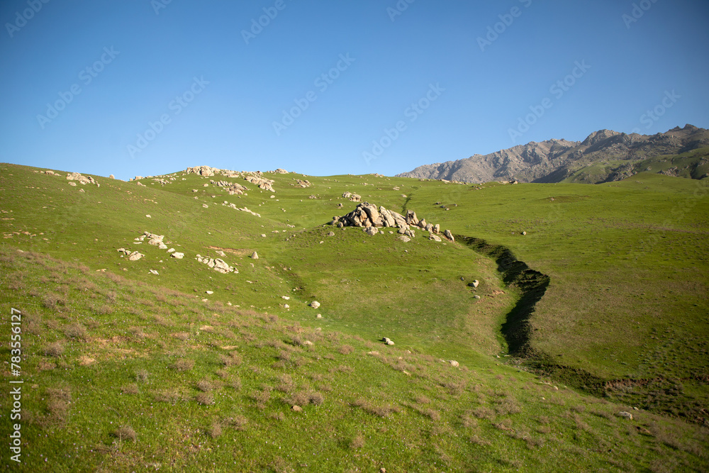 A grassy hillside with a path running through it
