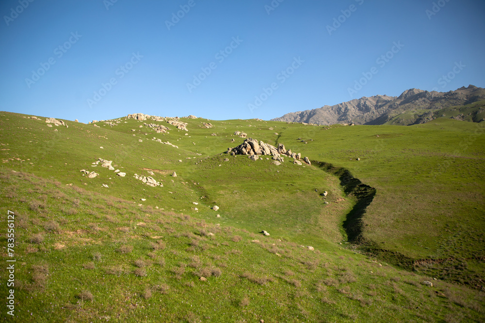 A grassy hillside with a path running through it A grassy hillside with a path running through it