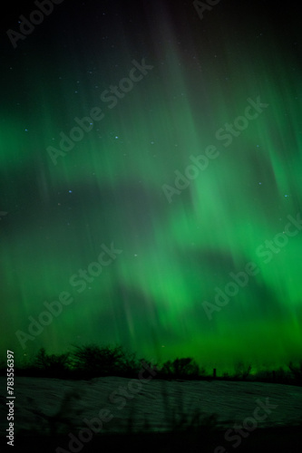 Vertical image of green aurora borealis with snowy rural foreground