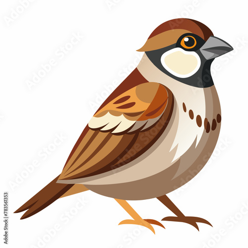 sparrow-in-white-background