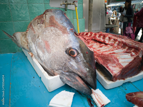 Fish in open seamarket photo