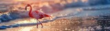 Flamingo walking along the seashore at sunset. Wildlife and nature conservation concept with serene mood