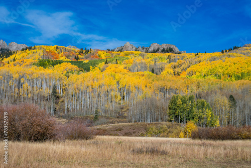 Wonderful Fall Color Aspen Colorado