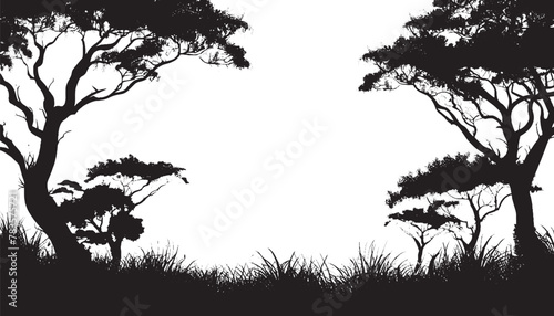 silhouette foresta 04