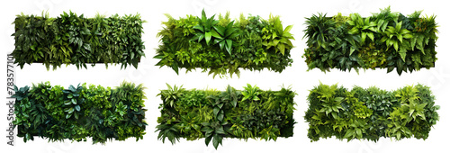 Set of green garden walls from tropical plants, cut out