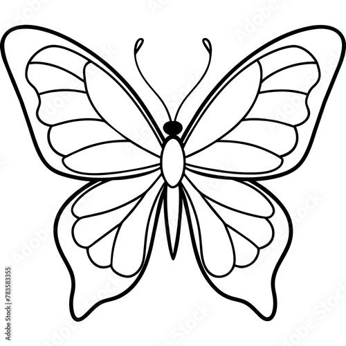     Butterfly vector illustration.
