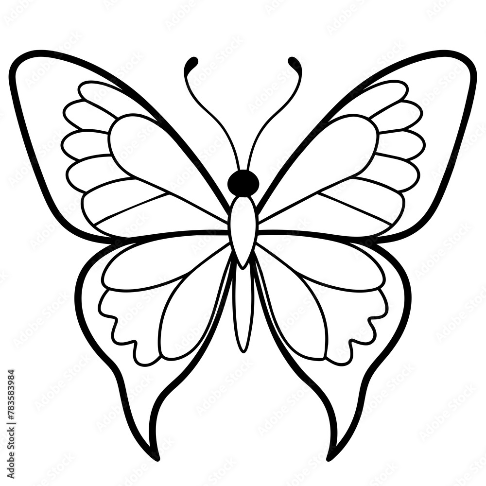 Fototapeta premium Butterfly vector illustration. 
