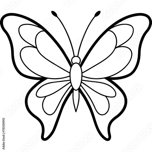  Butterfly vector illustration. 