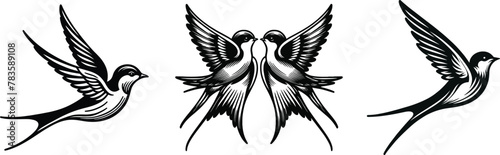 Set of a flying swallows bird, vector illustration.