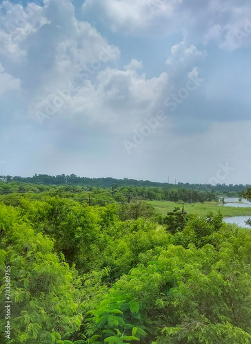 cBlue sky with green trees background, nature photography, beautiful weather conditions, natural outdoor scene wallpaper, louds over the forest