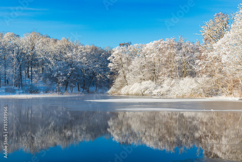 Snow-Covered Trees Surrounding Winter River in Mölndal, Sweden