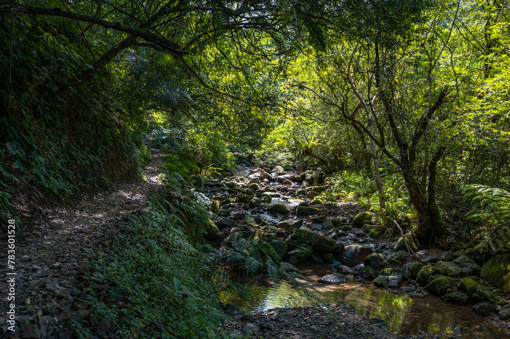 Lovely scene of a river corner, trail next to the river hidden in the forest, and sunlight shines between leafs, in Bengshankeng historical trail, New Taipei City, Taiwan. Lovely scene of a river corner, trail next to the river hidden in the forest, and sunlight shines between leafs, in Bengshankeng historical trail, New Taipei City, Taiwan.