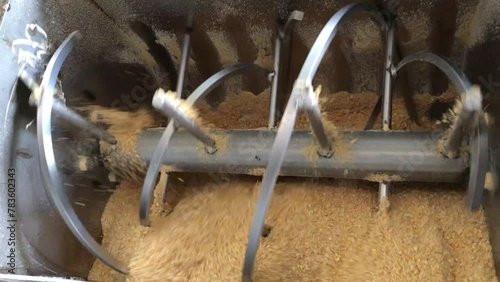 Industrial animal feed mixer with single ribbon inside is mixing