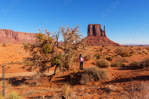 A tourist woman travels in Monument Valley, USA, with a desert tree in the foreground and iconic red rock formations in the background.