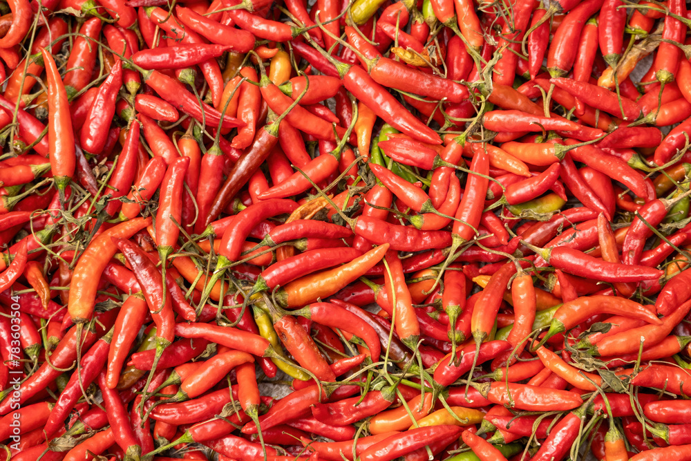 Fresh red hot chili peppers background. Dry red chilies are a condiment that adds color and heat to food. Fresh red hot chili peppers background. Dry red chilies are a condiment that adds color and heat to food.