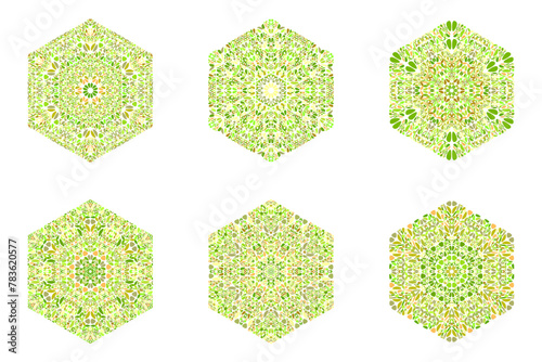 Abstract isolated floral mosaic ornament hexagon shape set - ornamental geometrical  vector design element with curved shapes