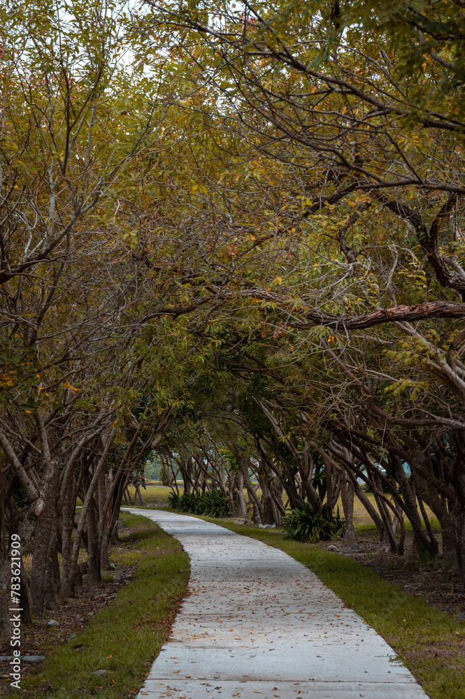 Fototapeta premium Trail surround by tree and beacon an green tunnel, in Chishang, Taitung, Taiwan.