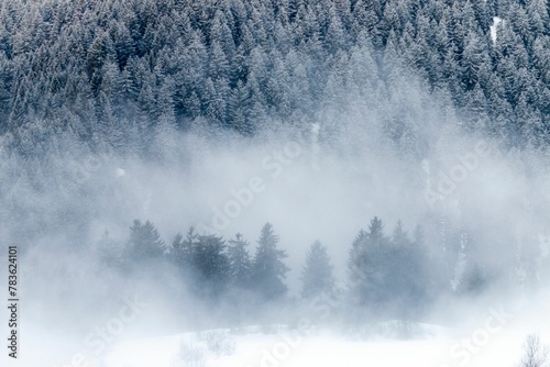 Beautiful view of a snow-covered mountain with fir trees on a foggy winter day © Wirestock