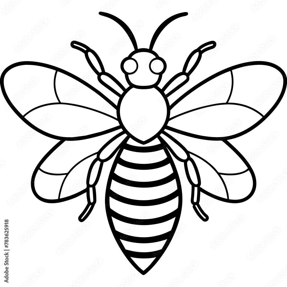 Asian giant hornet bee vector illustration.
Asian giant hornet bee vector illustration.